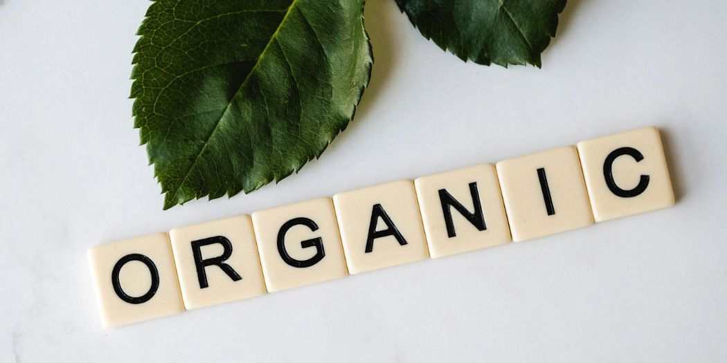 Leaf and Scrabble tiles with ORGANIC