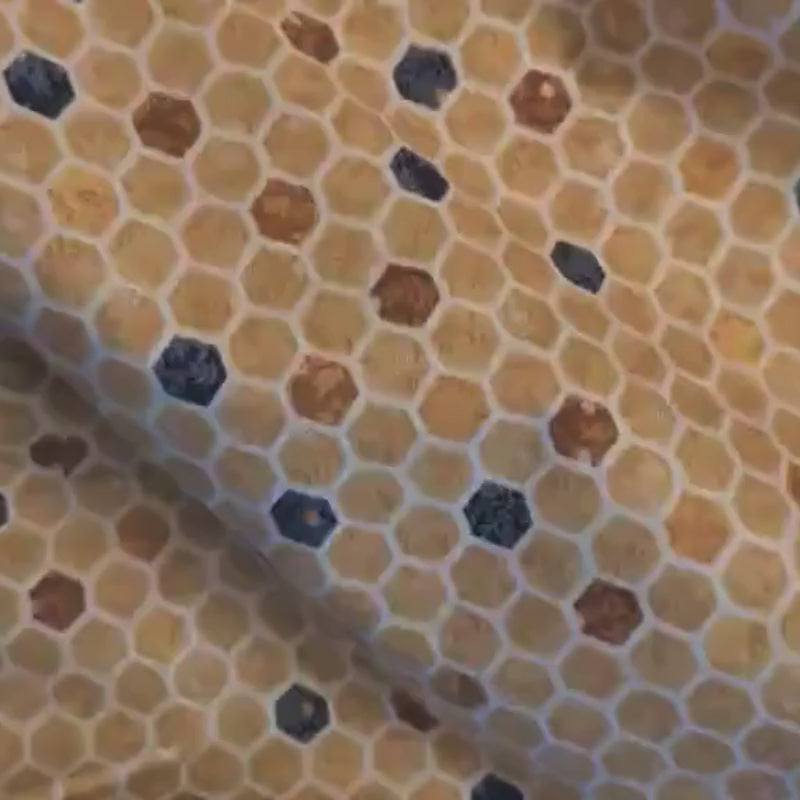 Gold Honeycomb Fabric Design