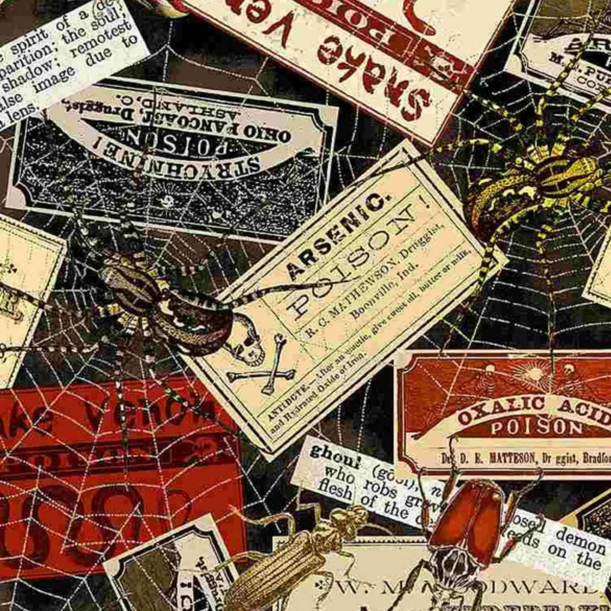 Timeless Treasures Nevermore witches labels Halloween quilting cotton fabric