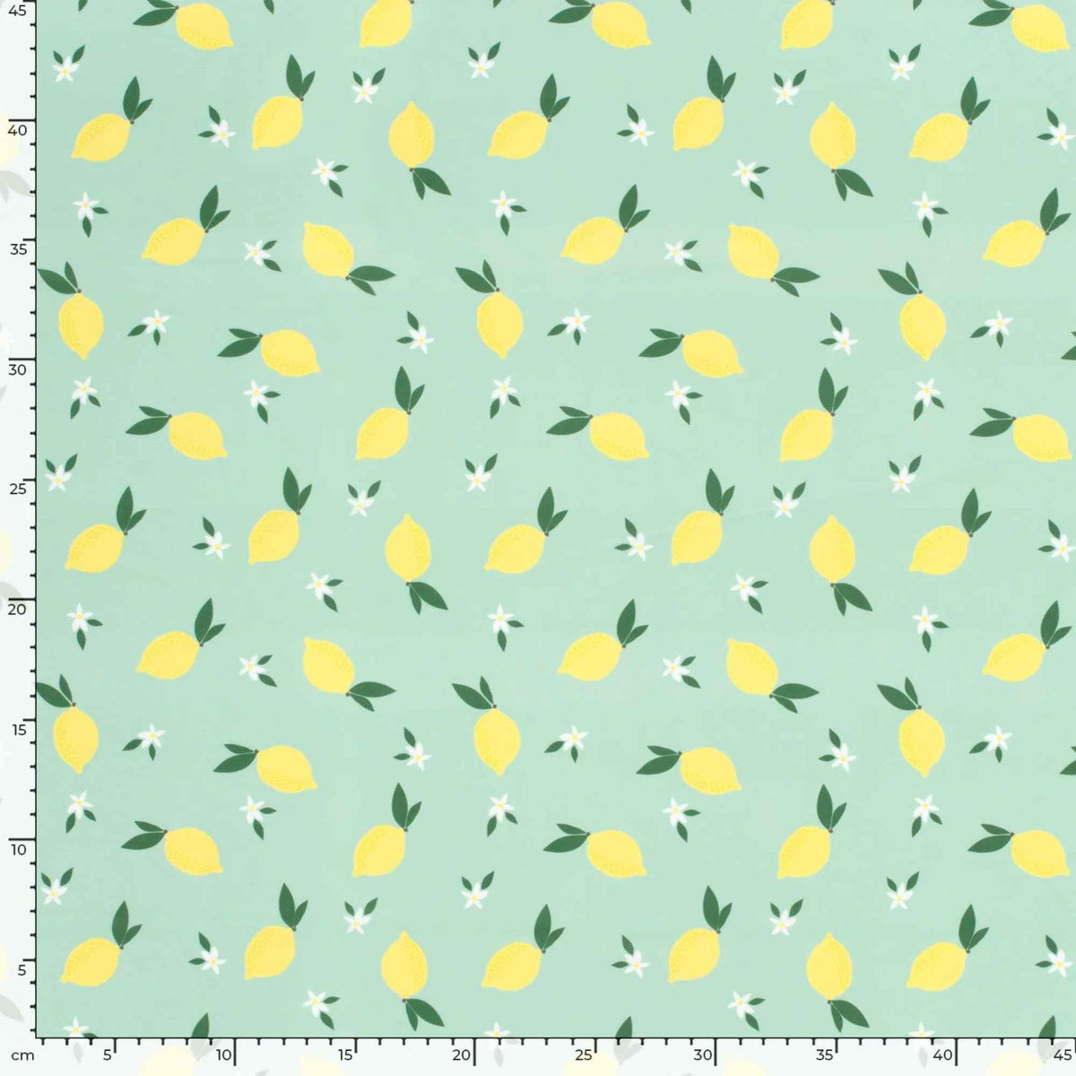 Swimwear Jersey UPF50 Recycled Fabric – Lemon Mint | Digital Print