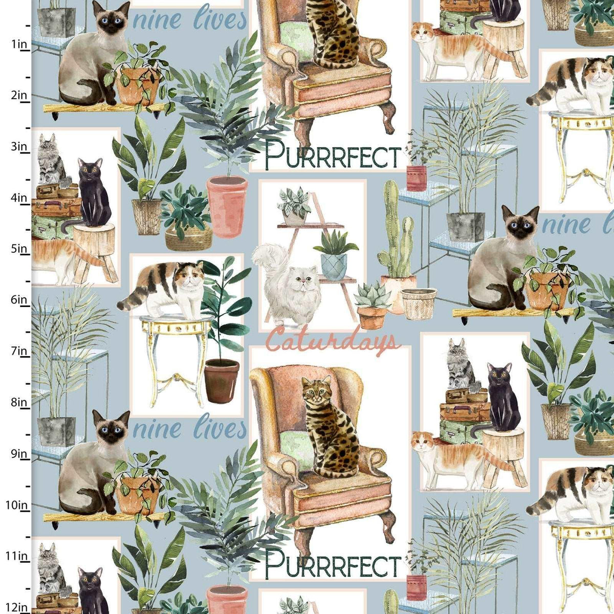 Cat Fabric Everyday is Caturday Collection Digital Print